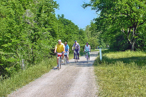 Radfahren am Altrhein